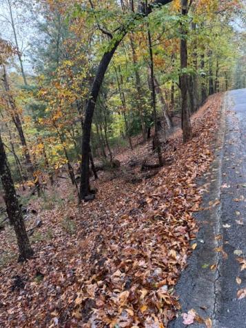 Lt 264 Zenith Trail Ellijay GA 30540