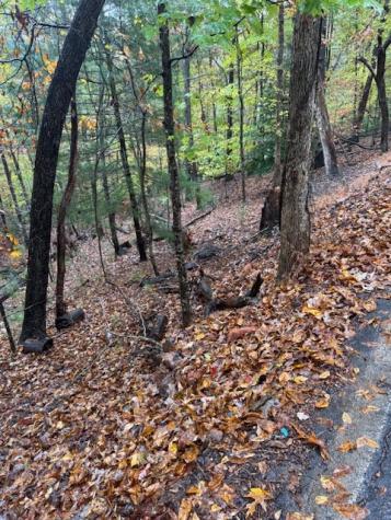 Lt 264 Zenith Trail Ellijay GA 30540