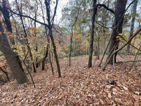 Lot 468 Cherokee Court Ellijay GA 30540