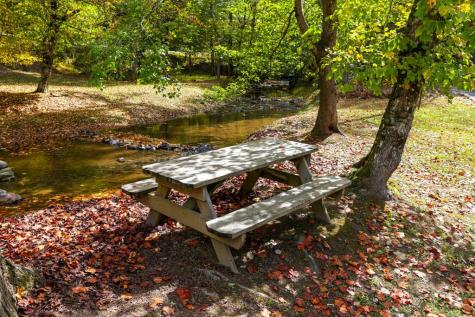 Lot 468 Cherokee Court Ellijay GA 30540