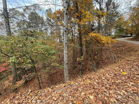 Lot 468 Cherokee Court Ellijay GA 30540