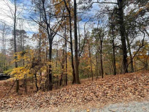Lot 468 Cherokee Court Ellijay GA 30540