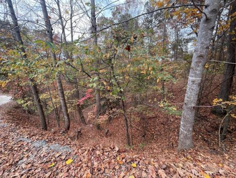 Lot 468 Cherokee Court Ellijay GA 30540