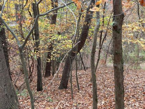 Lot 468 Cherokee Court Ellijay GA 30540