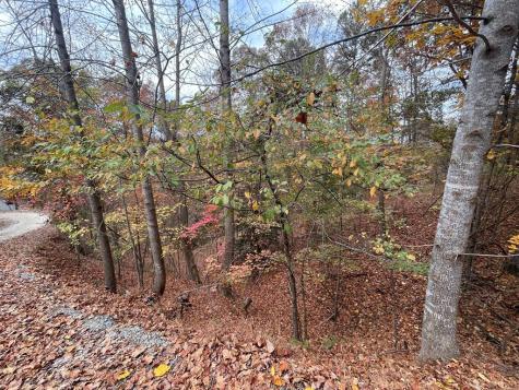 Lot 468 Cherokee Court Ellijay GA 30540