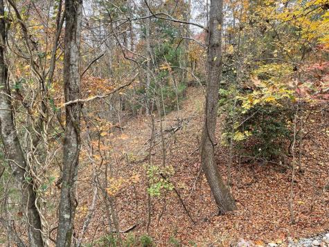 Lot 468 Cherokee Court Ellijay GA 30540