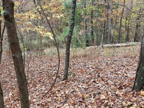 Lot 468 Cherokee Court Ellijay GA 30540