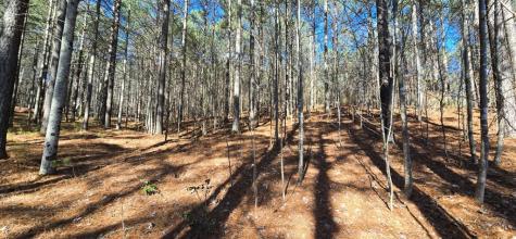 Lot 41 Deyton Drive Blairsville GA 30512