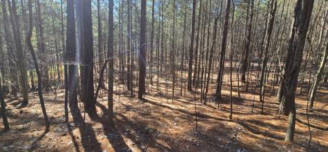 Lot 41 Deyton Drive Blairsville GA 30512