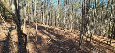 Lot 41 Deyton Drive Blairsville GA 30512