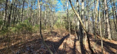 Lot 41 Deyton Drive Blairsville GA 30512