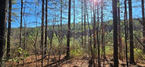 Lot 41 Deyton Drive Blairsville GA 30512