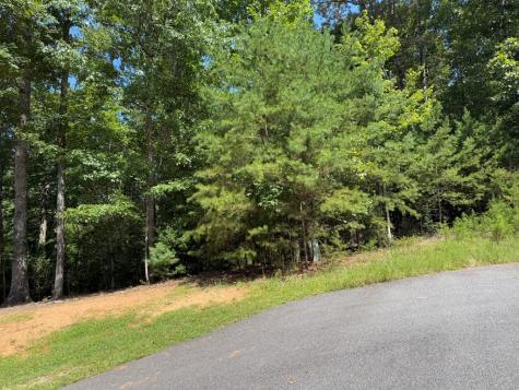 Lot 106 Asheland Cove Young Harris GA 30582