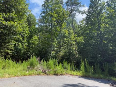 Lot 106 Asheland Cove Young Harris GA 30582