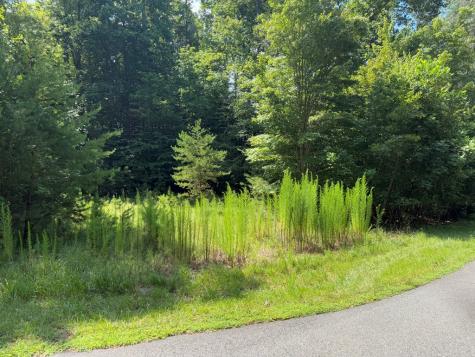 Lot 106 Asheland Cove Young Harris GA 30582