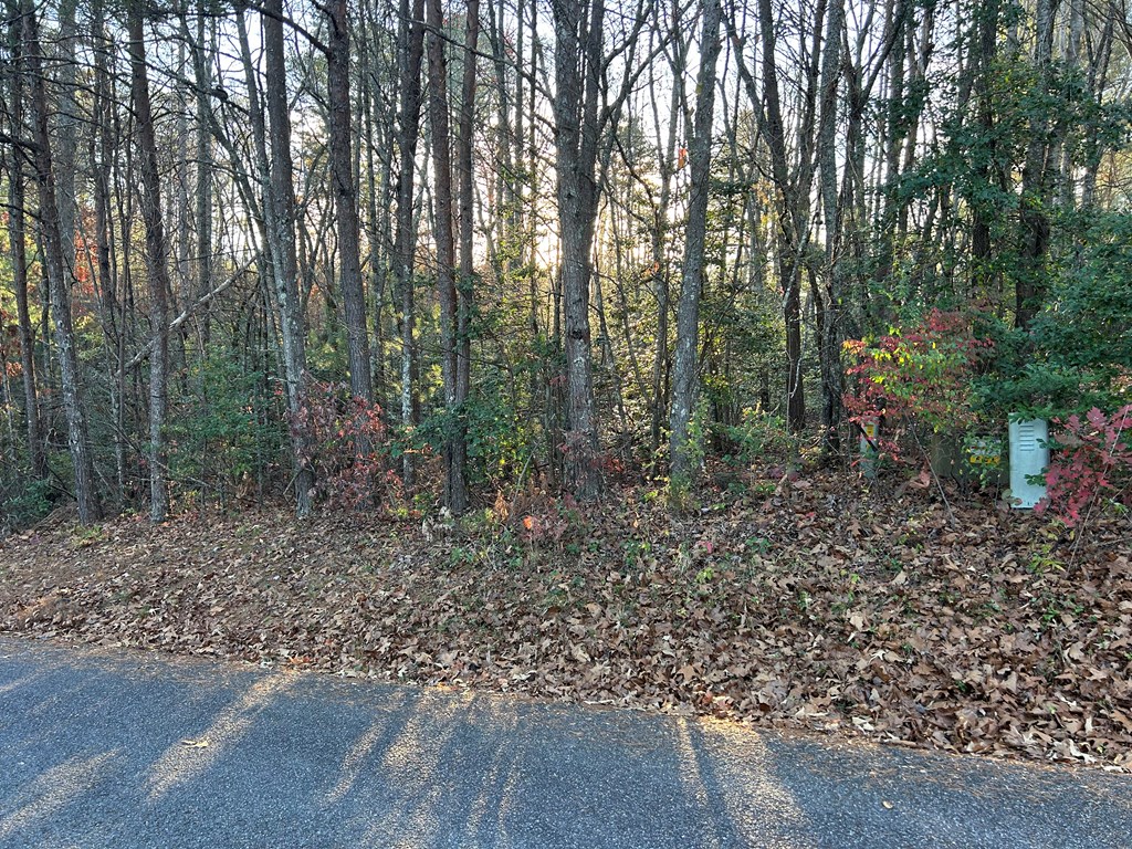 Lot 5 Tombstone Drive Blairsville GA 30512