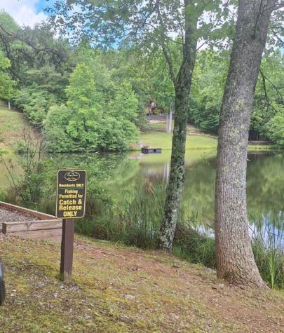 0 Meadow Brook Trail Morganton GA 30560