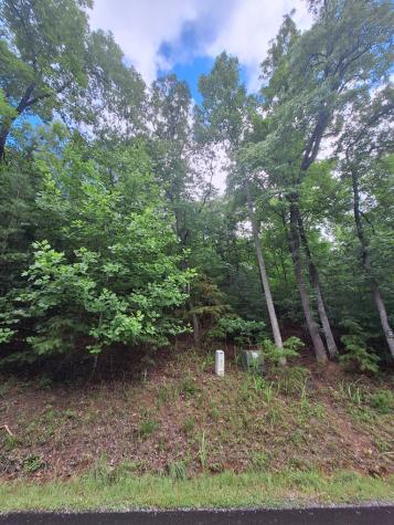 0 Meadow Brook Trail Morganton GA 30560