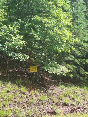 0 Meadow Brook Trail Morganton GA 30560
