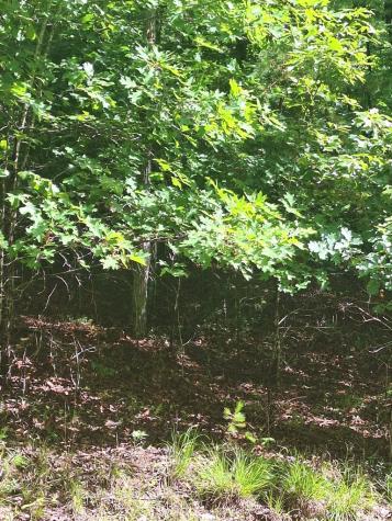 0 Meadow Brook Trail Morganton GA 30560
