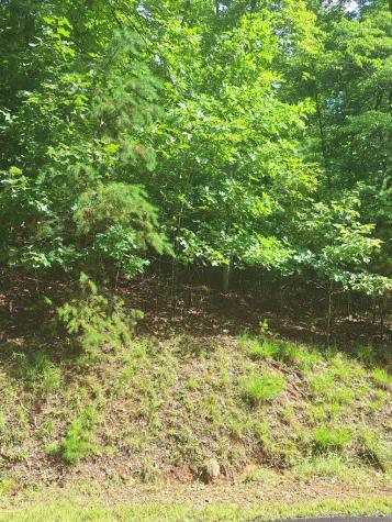 0 Meadow Brook Trail Morganton GA 30560