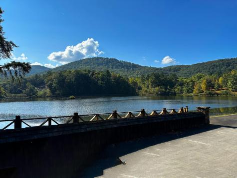 142R Autumn Fern Lane Ellijay GA 30536