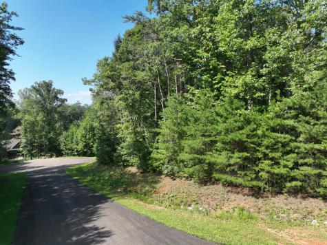 142R Autumn Fern Lane Ellijay GA 30536