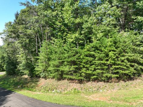 142R Autumn Fern Lane Ellijay GA 30536