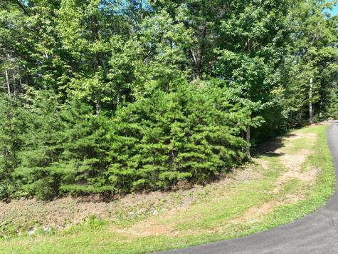142R Autumn Fern Lane Ellijay GA 30536