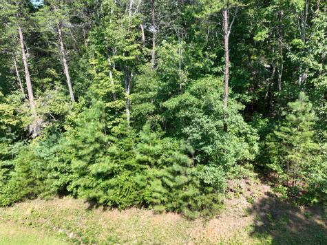 142R Autumn Fern Lane Ellijay GA 30536