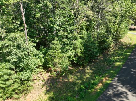 142R Autumn Fern Lane Ellijay GA 30536