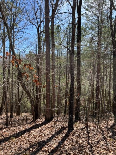 Lt 4 Hunter Ridge Ellijay GA 30540