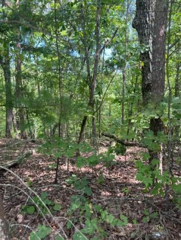 Lt 4 Hunter Ridge Ellijay GA 30540