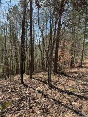 Lt 4 Hunter Ridge Ellijay GA 30540