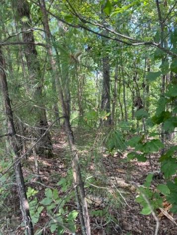 Lt 4 Hunter Ridge Ellijay GA 30540