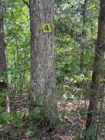 Lt 4 Hunter Ridge Ellijay GA 30540