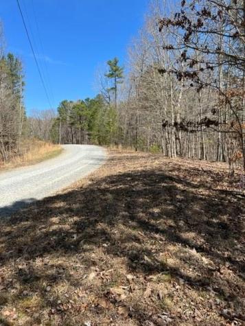 Lt 4 Hunter Ridge Ellijay GA 30540