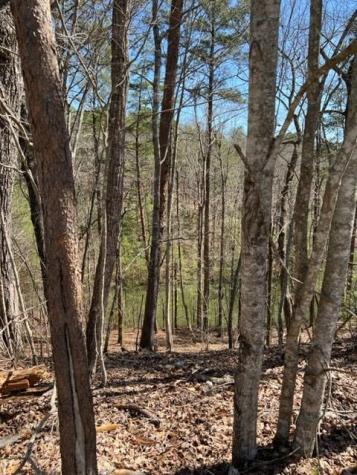 Lt 4 Hunter Ridge Ellijay GA 30540