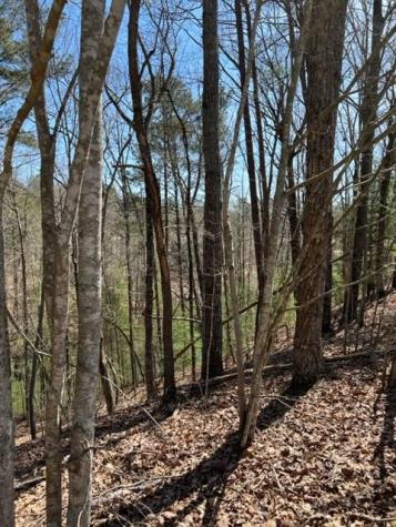 Lt 4 Hunter Ridge Ellijay GA 30540