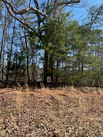 Lt 4 Hunter Ridge Ellijay GA 30540