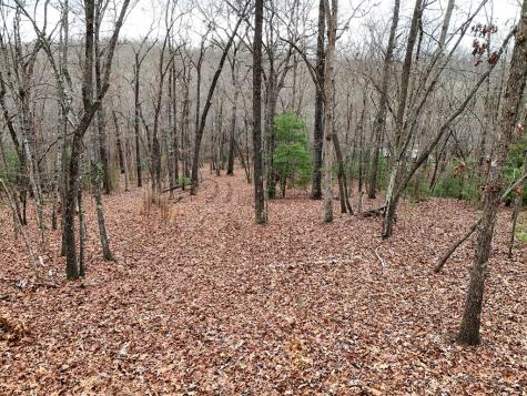 0 Dills Road Blue Ridge GA 30513