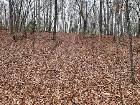 0 Dills Road Blue Ridge GA 30513