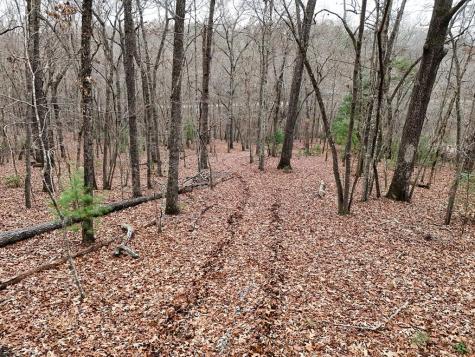 0 Dills Road Blue Ridge GA 30513