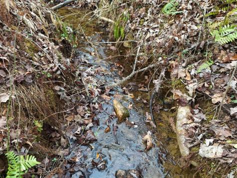 0 Dills Road Blue Ridge GA 30513