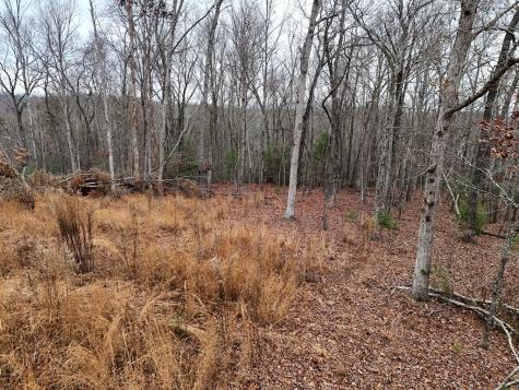 0 Dills Road Blue Ridge GA 30513