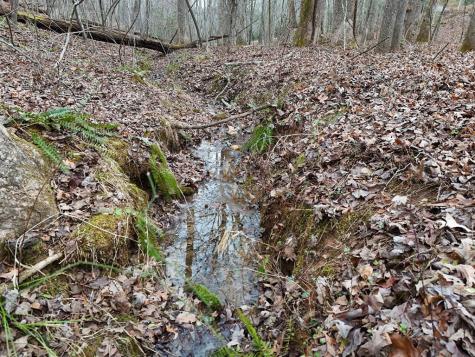 0 Dills Road Blue Ridge GA 30513