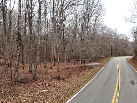 0 Dills Road Blue Ridge GA 30513