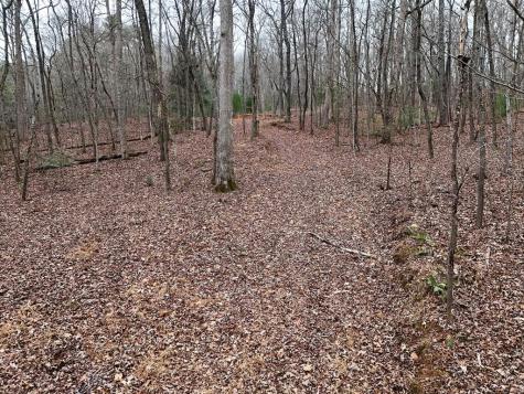 0 Dills Road Blue Ridge GA 30513