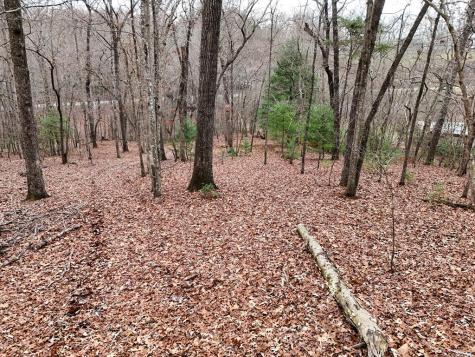 0 Dills Road Blue Ridge GA 30513