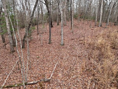 0 Dills Road Blue Ridge GA 30513